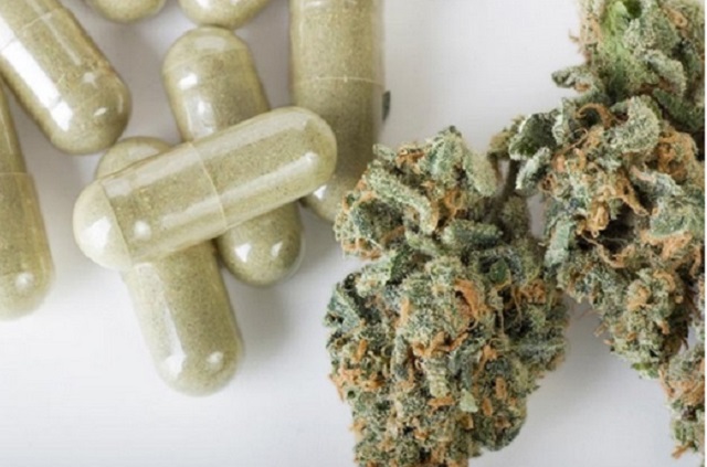 Scientific American: CBD may be effective treatment for those with drug-resistant epilepsy