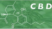 CBD cannabinoid profile