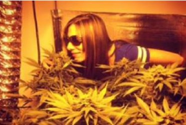 girl with cannabis plant