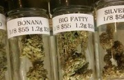 jars cannabis head