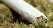$3,000 Per Week to Consume Cannabis