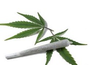joint and cannabis leaf