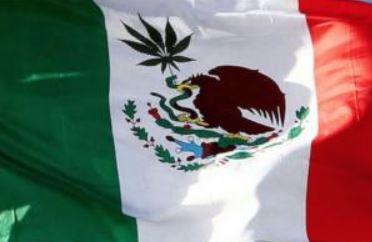 mexico cannabis flag