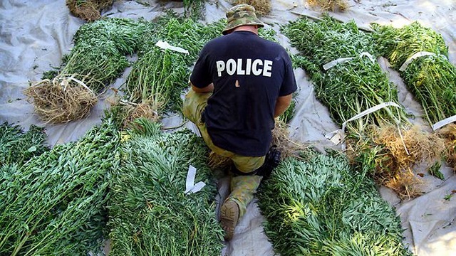 Critics slam police cannabis claims again