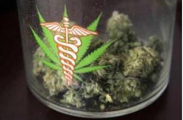 cannabis buds in a jar