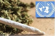UN Drug Commission Delays THC Rescheduling 