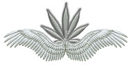 winged weed